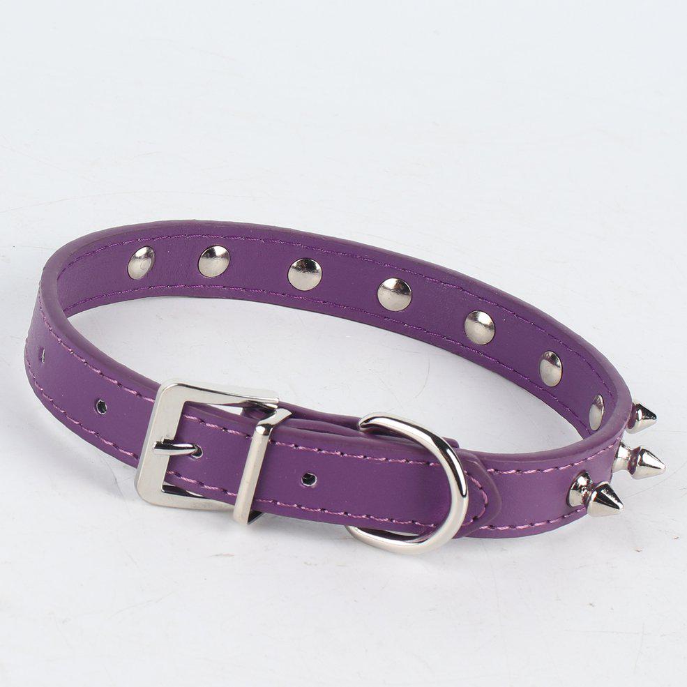 purple studded dog collar