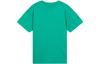 Nike T Shirt Men's Sea God Green BQ7343-370