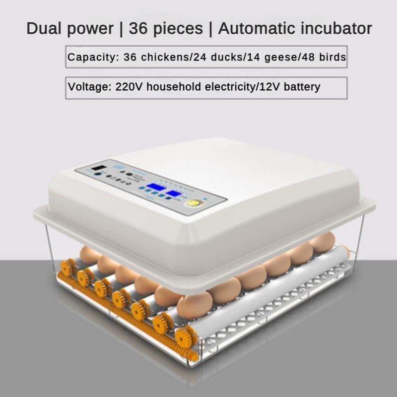 50W Fully Automatic One Click Mini Incubator Small Household Egg Hatcher Multifunctional Intelligent Incubator 53 * 24 * 48cm