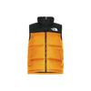 THE NORTH FACE 1996 Retro Nuptse Vest (Unisex) Down Vests NF0A3JQQ 78M