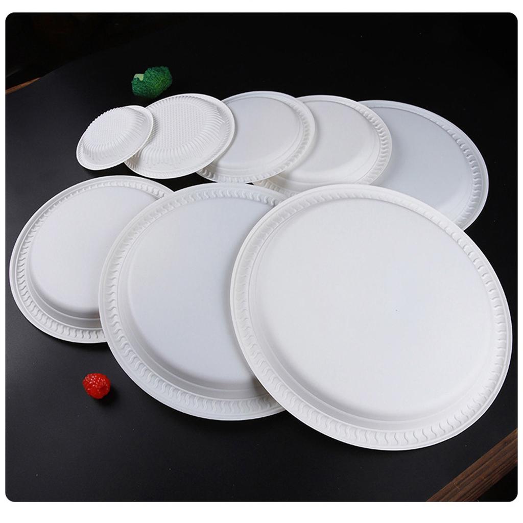 Disposable Plastic Circular Plates, Vegetable Plates, Barbecue Fruit Plates, Cake Plates