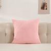 Plush Velvet Pillow Cover Premium Teddy Fleece Sofa Cushion Case Office Nap Pillow Seat Back Support Home Decor Throw Pillowcase