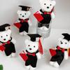 10pcs Soft Graduation Foam Bear Dolls with Gowns Hat for Celebrating Ceremony and Memory Graduation Flower Bouquet