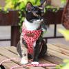 Adjustable Large Cats Vest Harness for Small Cats No Pull Design with Leash Breathable Vest Bright Color