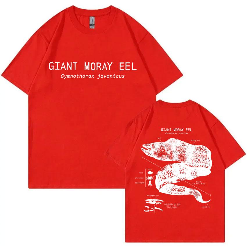

Marine Animals Giant Moray Eel Anatomy Graphic Tshirt Unisex Casual Vintage T Shirt Unisex Oversized Cotton Tshirt Streetwear S