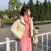 Winter Women Clothes Jackets Parkas Warm Stand Collar Cold Coat Zipper Puffer Jacket Korean Fashion Padded Jacket