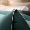 Iyiyi Love 60S Long-Staple Cotton Soy Fiber Winter Duvet