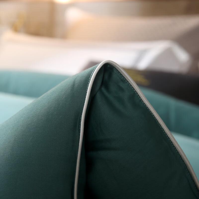Iyiyi Love 60S Long-Staple Cotton Soy Fiber Winter Duvet