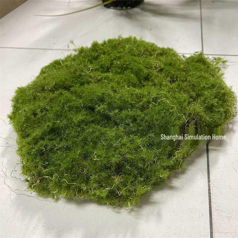 Artificial Moss Stone Decor: Green Hairy Stone Prop for Photography and Bonsai Landscaping
