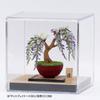 Kawada Paper Nano 360 Bonsai Wisteria PS-15, 0.7 x 12 x 17 cm, Ages 12 and Up, Paper Craft Kit, Miniature Kit, Interior Design, PS-15