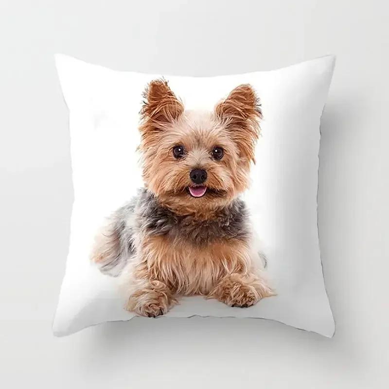 Schlafzimmer Sofa Lendenkissenbezug Auto   Niedlicher Yorkie Bichon Frize Yorkshire Druck Kissenbezug
