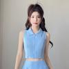 Womens Sports Polo Set Badminton Tennis Golf Outfit Slim Fit Activewear