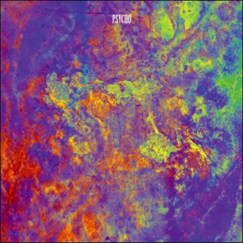 

Because it s lonely, 1st album - Psycho