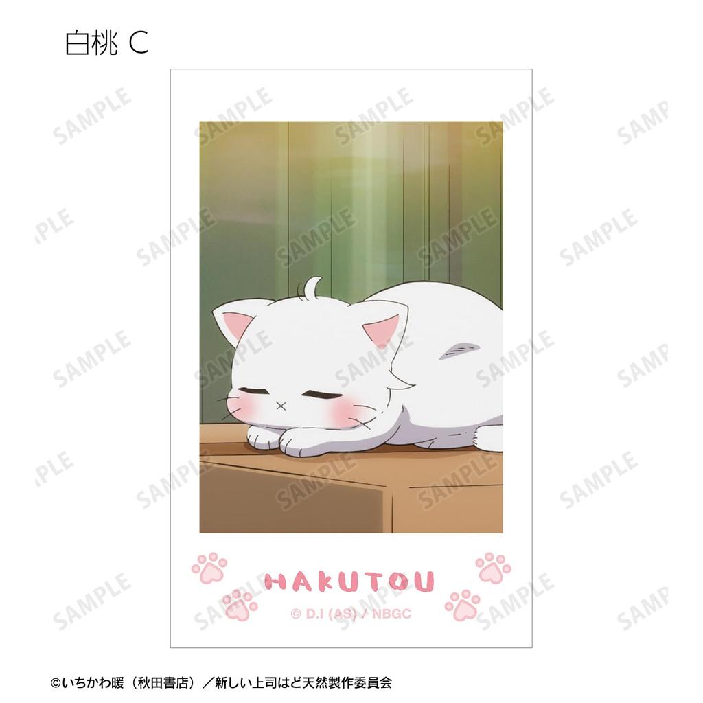 New Boss is a TV Anime Trading White Peach Instant Camera Style Illustrated Box of 20 "My Natural" Cards, Only, Stills,