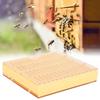 Plastic Bee King Incubator Free Move Harmless Breeding Box Beekeeper Beekeeping Tool