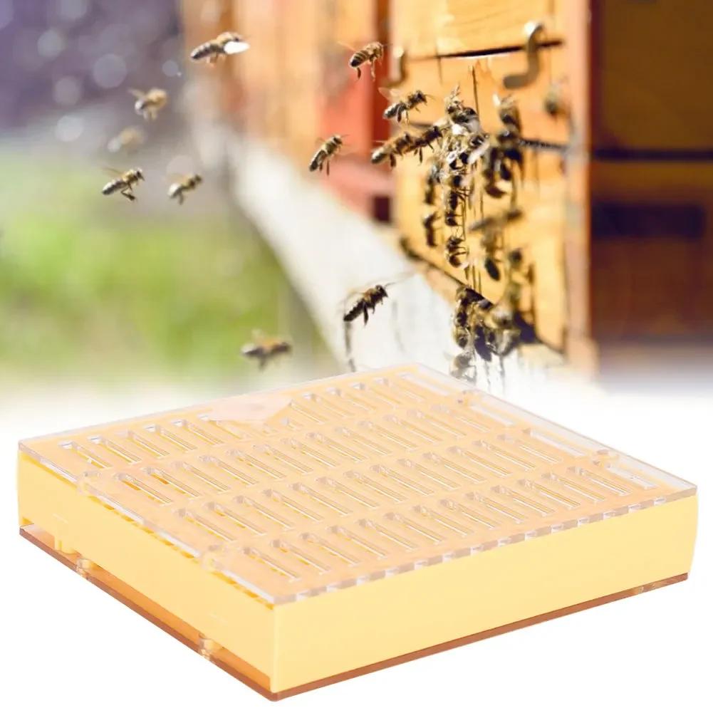 Plastic Bee King Incubator Free Move Harmless Breeding Box Beekeeper Beekeeping Tool