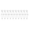 10Pcs Test Tube Clip Clamp Experiment Testing Holder Tool for Laboratory Large Size