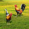 2×Rooster Chicken Statue For Outdoor Garden Yard Decoration Art Figure Sculpture