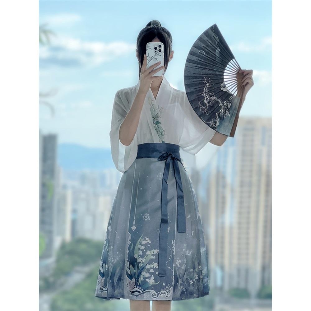 Chinese Song Dynasty Style Hanfu For Women Pleated Skirt Daily Set Spring And Autumn