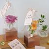 Clear Bouquet Bags Elegant Flower Packaging Boxes Single Rose Flower Box For Florist Retail And Special Event
