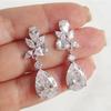 Shiny 5A Rhinestone Water Drop Earrings for Women Exquisite  Sterling Silver Needle Earring Fashion Party