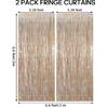 2 Pack Fringe Curta Backdrops, Foil Fringe Curta, Door Streamers for Birthday Wedding Bridal Shower Holiday Graduation Party Decorations, Photo Booth