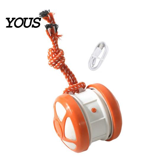 Electronic Pet Exerciser for Home Electric Automatic Rolling Dog Ball Toy, Motion-Activated Random Path Moving Toy with Autonomous Dogs Rope,