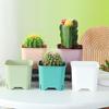 Square Plastic Pots With Drainage Hole Multicolor Breathable Plant Nursery Pot For Balcony Office Home Cactus Herb Gro