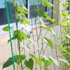 Garden Plant Climbing Net