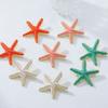 Personality Colored Glaze Starfish Earrings Conch Octopus Starfish Star Dangle Earrings  Festival