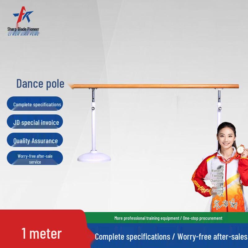 Pioneer Movable Dance Barre