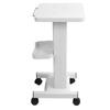 Beauty Salon Trolley with Wheels Beauty Instrument Base Trolley Iron Beauty Instrument Tattoo