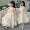 Girls' Dresses, Summer Dresses, Big Girls, Suspenders, Halter Skirts, Children's Summer Mesh Princess Dresses