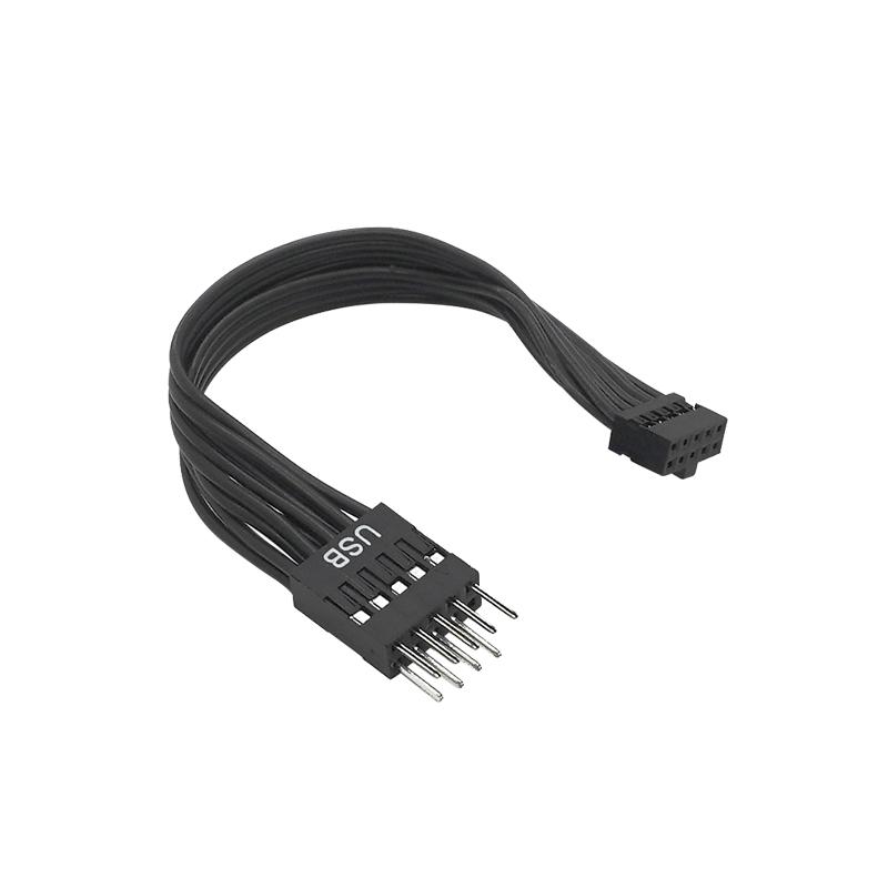 Dupont Mini USB 2.0mm 10Pin Female To Dupont USB 2.54mm 9Pin Male Power Extension Cable for PC Motherboard 12cm
