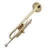 Heavy-Duty C Key Brass Instrument: Two-Color, Flexible Keys, Easy to Play for Adults, Beginners & Professionals