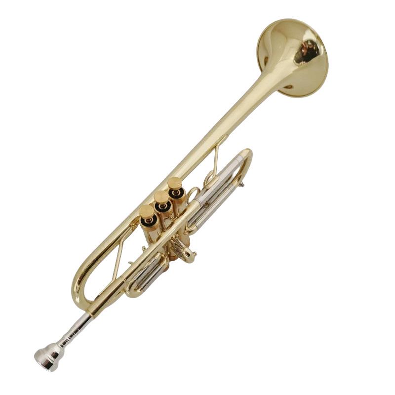 Heavy-Duty C Key Brass Instrument: Two-Color, Flexible Keys, Easy to Play for Adults, Beginners & Professionals