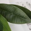 Multicolor Artificial Plumeria Flowers DIY Silk Plum Blossoms Simulation Frangipani Branch  Gift