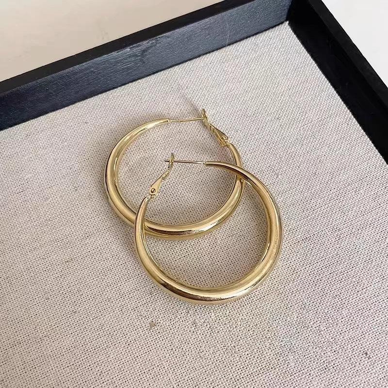 2024 Trendy Silver Hoop Earrings for Women – S925 Needle, Round Shape, Elegant and High-End.