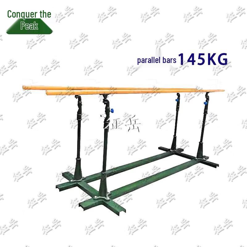 Zhengyue Outdoor Adjustable Dips Station