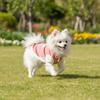 Pet Vest Patchwork Dog Sweatshirt Cozy Warm Puppy Pullovers with Bow Soft Dog Bottoming Shirt Daily Walk