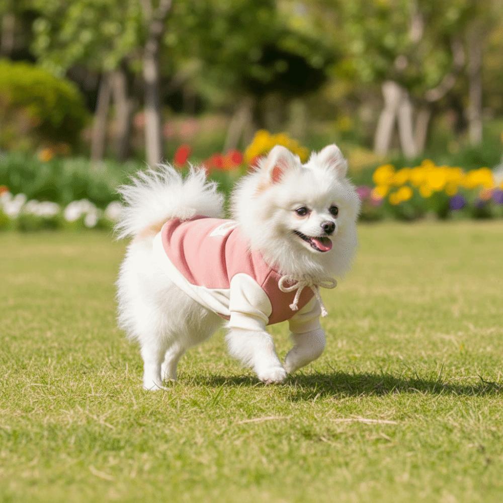 Pet Vest Patchwork Dog Sweatshirt Cozy Warm Puppy Pullovers with Bow Soft Dog Bottoming Shirt Daily Walk