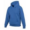 Gildan Childrens/Kids Heavy Blend Hoodie