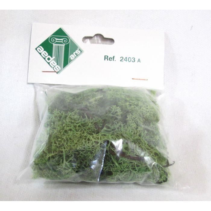 Accessoires - Mousse vert clair 25 Gr. Aedes