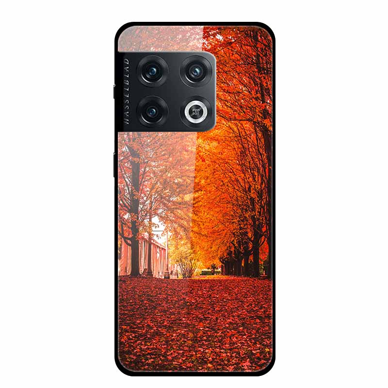 For One plus 10 Pro Case Shockproof Tempered Glass Hard Back Cover For OnePlus 10 Pro 10Pro Oneplus10 1+10 Pro Bumper Coque Case