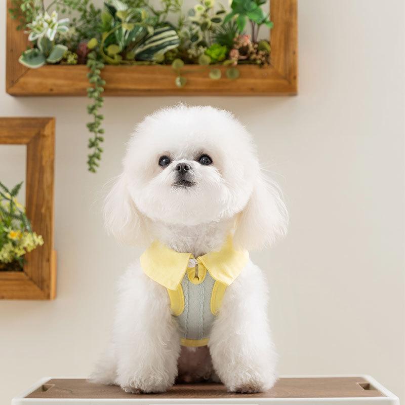 Spring and Summer Thin Puppy Dog Clothing Small and Medium Dog Knitted Vest Teddy Cat Pet Bigbear Puppy Clothing