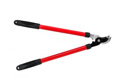 Awtools Sekator Do Konarów 540Mm 20Mm/ Uchwyt Tpr