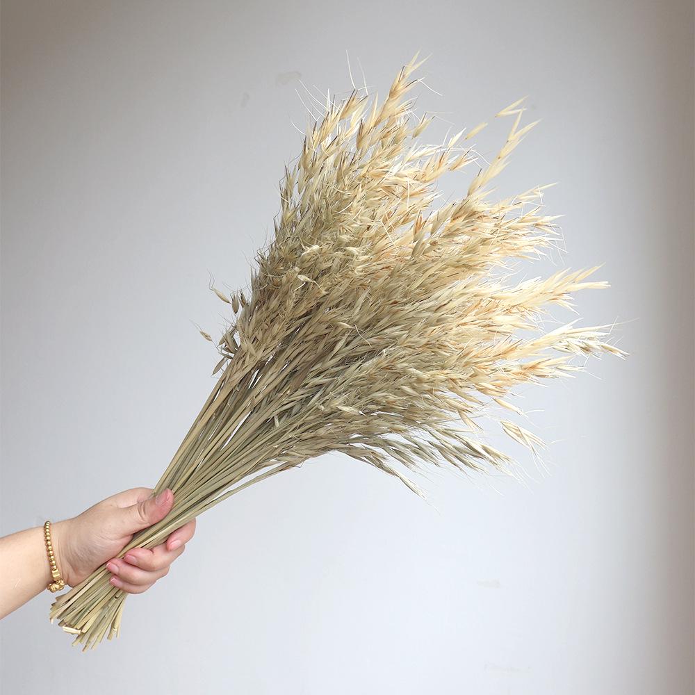Wabi-sabi Dried Flower Arrangement: Reed, Pine Cones, Cotton, Wheat, Poppy Bouquet