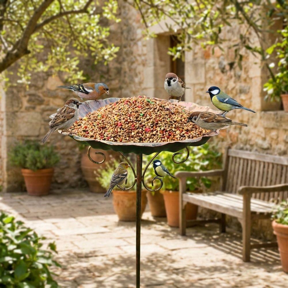 5-Pronged Base Iron Bird Bath Feeder Retro Standing Bird Bath Bird Water Drinker  Porch