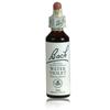 Fleurs de Bach n°34 Water Violet - Violette d'Eau 20ml