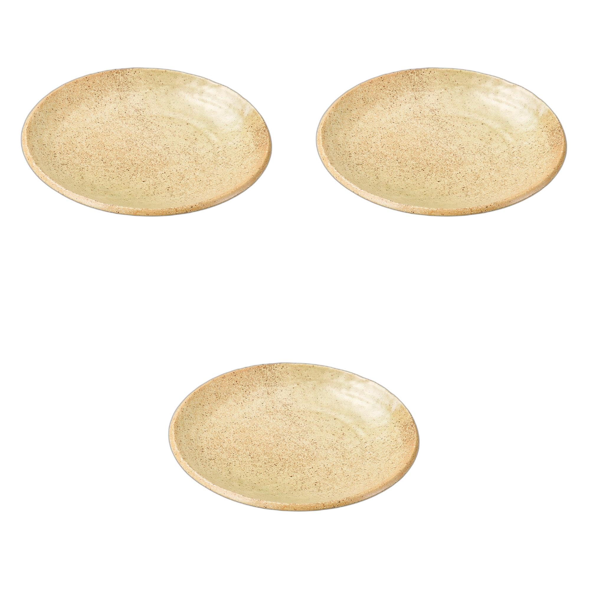 

Set of 3 Outdoor Plates x Large Ceramic Plates by Setomonohonpo Hand-Formed 8.0cm [24.5 3.5cm]